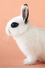 Quantic Dream还在开发另外一个3A游戏 中世纪幻想题材